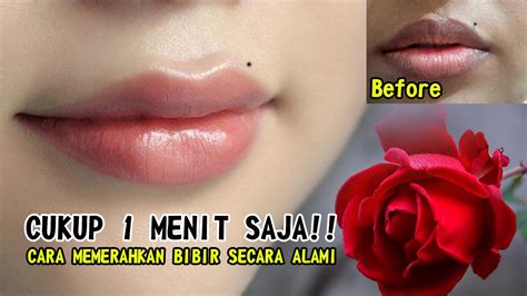 Cara Mudah Membuat Bibir Merah Alami Dengan Odol